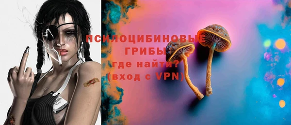 экстази Богородицк