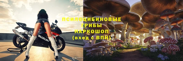 экстази Богородицк