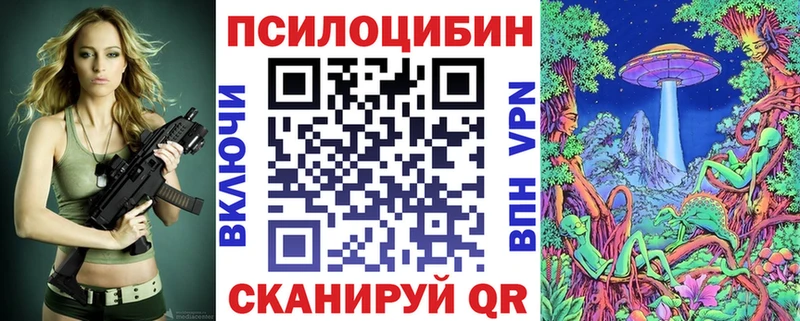 где купить   Наро-Фоминск  Псилоцибиновые грибы мухоморы 